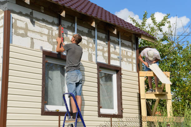 Best Vinyl Siding Installation  in St Louis, MI