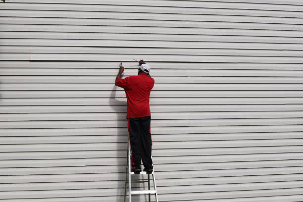 Best Custom Siding Design  in St Louis, MI