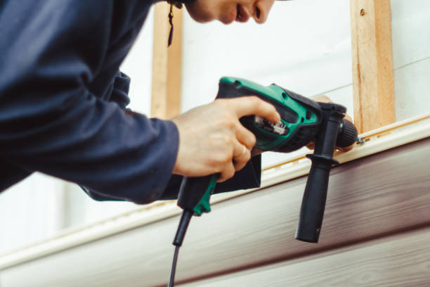 Affordable Siding Repair and Maintenance Services in St Louis, MI